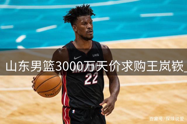 山东男篮3000万天价求购王岚嵚 租借条款成交易最大阻碍